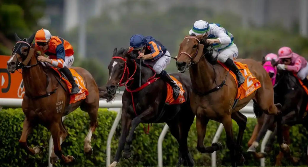 1767638828158263.jpg 香港賽馬玩法:投注策略、熱門賽事與初學者必懂的投注技巧全指南
