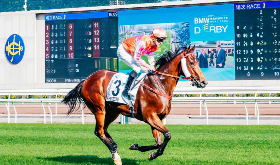 1767985700347779.jpg 新手到進階必讀的賽馬投注方式完整教學解析,掌握賠率邏輯與投注技巧提升命中率