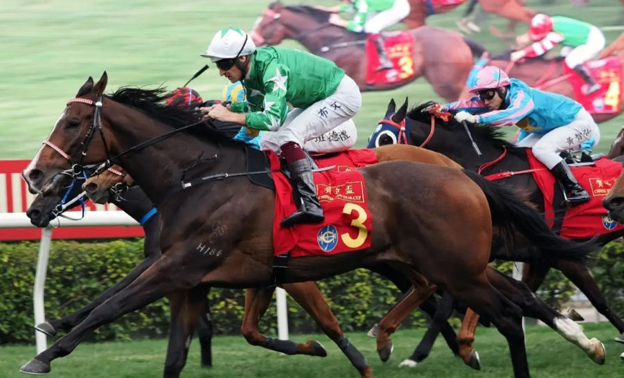 1768323575540564.jpg 香港賽馬入門指南:新手必看的基礎知識